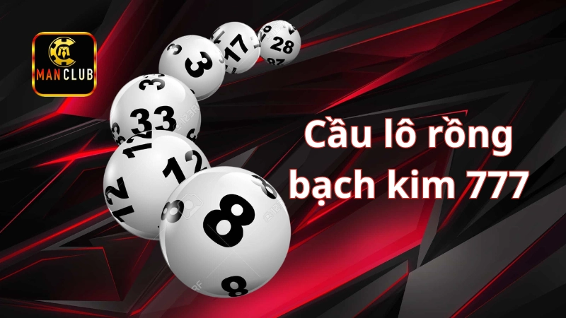 Cầu lô rồng bạch kim 777: Mẹo soi cầu hiệu cầu không nhiều người biết