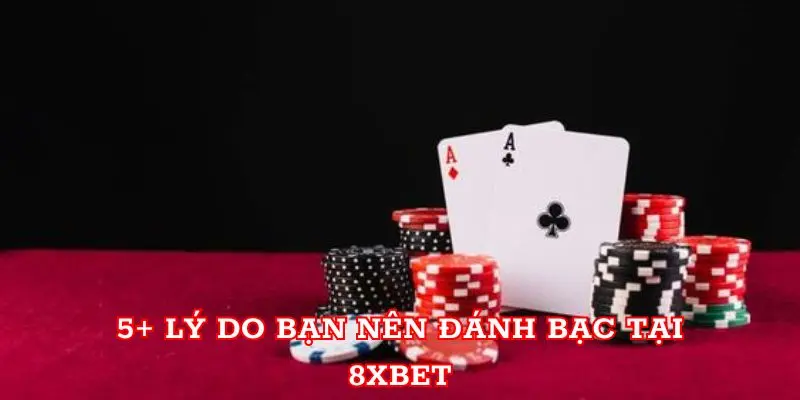 5+ Lý do bạn nên đánh bạc tại 8xbet