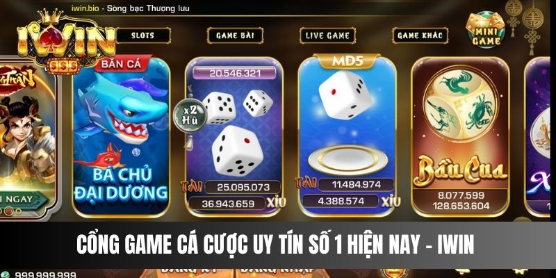 Cổng game cá cược uy tín số 1 hiện nay - IWIN 