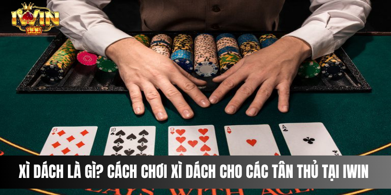 Xì Dách là gì? Cách chơi Xì Dách cho các tân thủ tại IWIN 